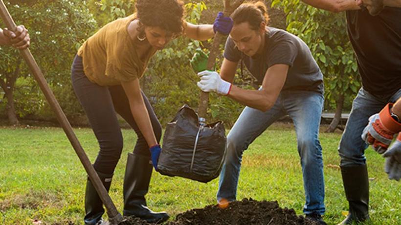 IN VIA International